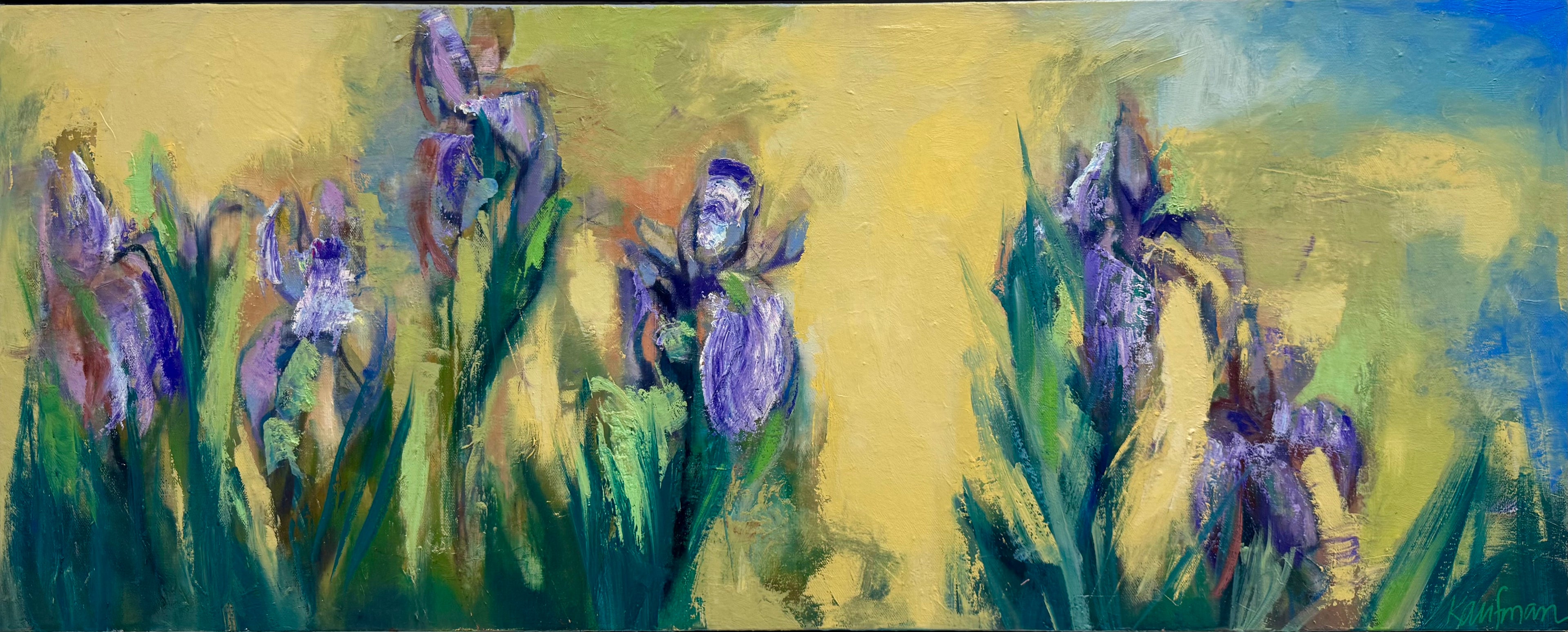 Louisiana Iris