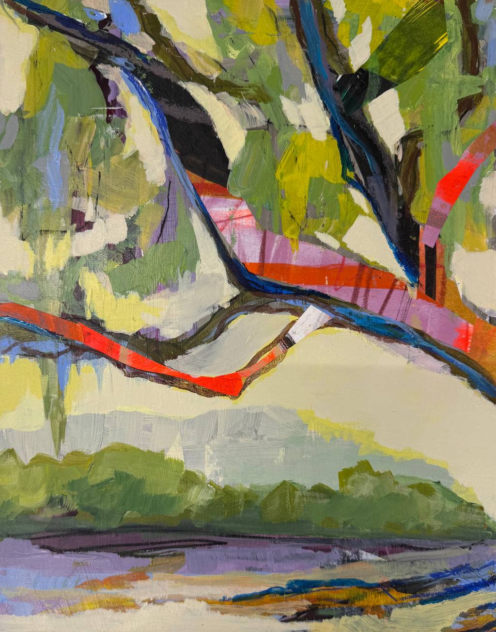 Audubon Park Oak