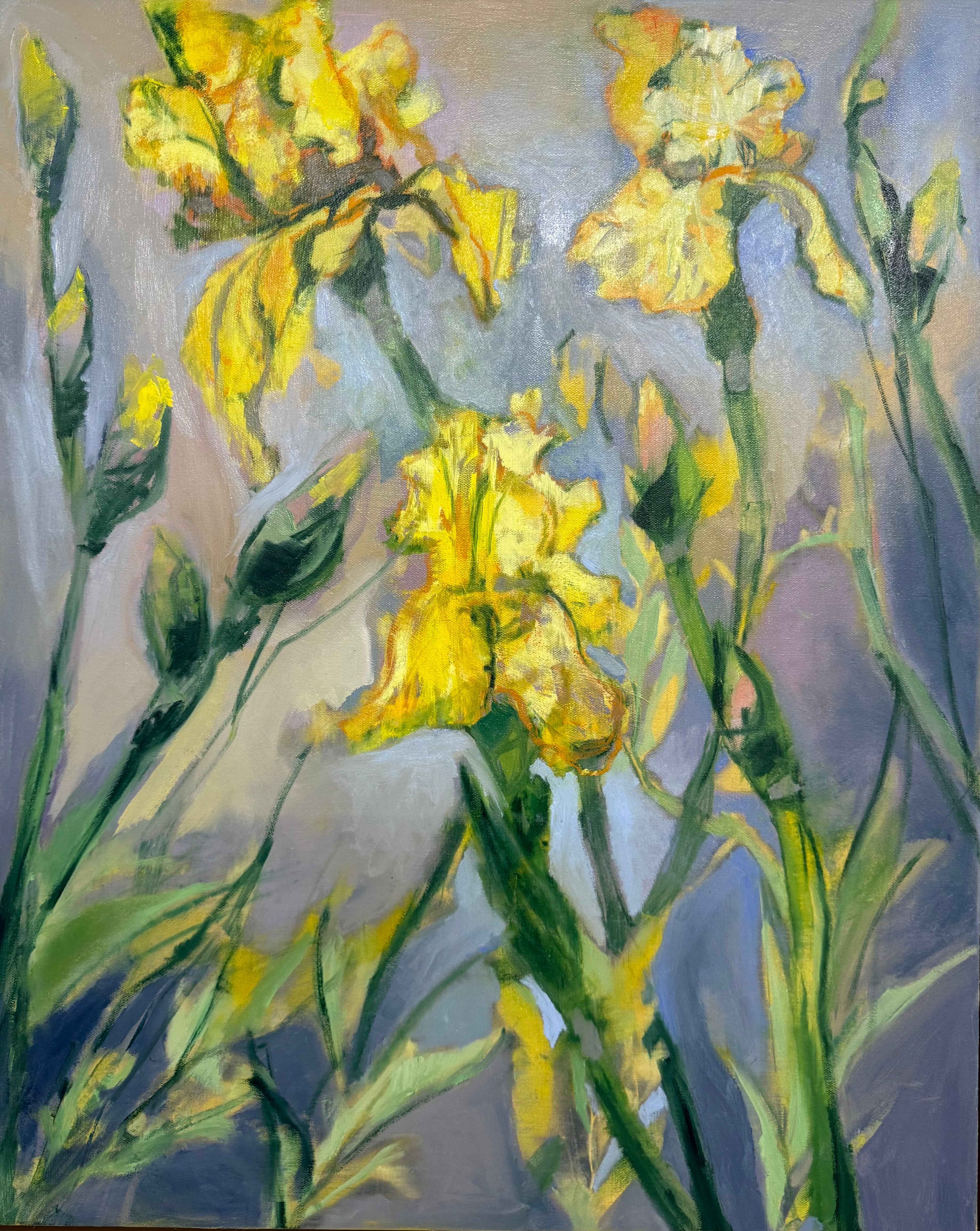 Yellow Iris