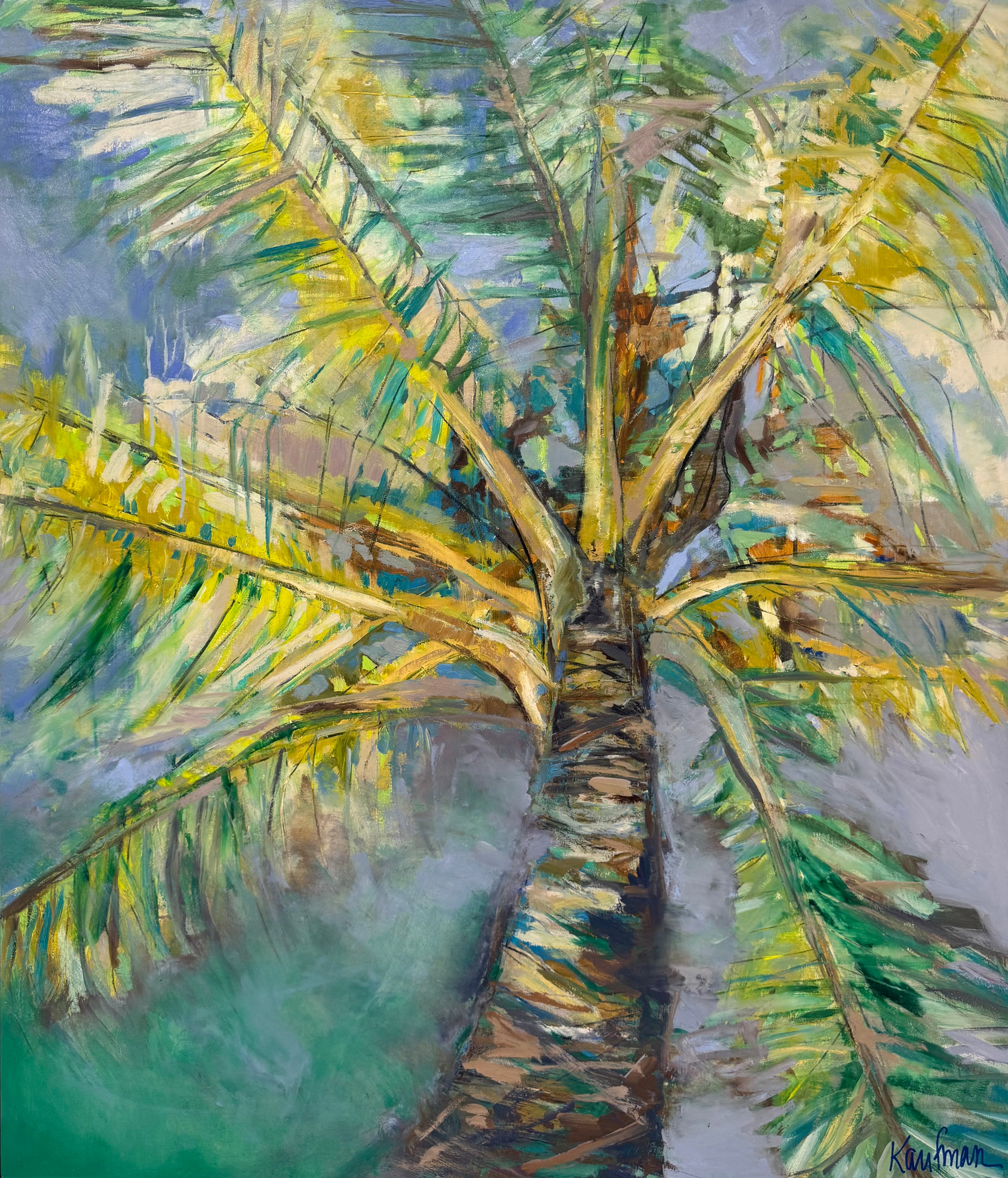 Island Canopy